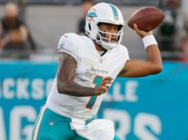 pretemporada Dolphins