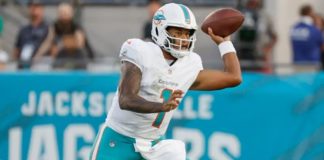 La pretemporada Dolphins en el 2025 pretemporada Dolphins