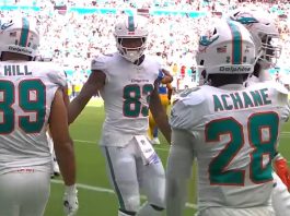 Dolphins Se Desmoronan