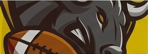 TOROS
